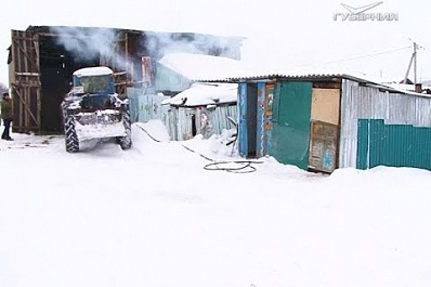 Общее дело: как сельскохозяйственные кооперативы помогают аграриям в Самарской области