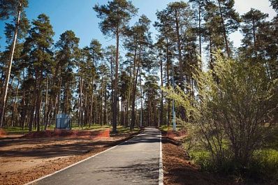 В Тольятти уже наполовину сделали экопарк в микрорайоне Шлюзовом