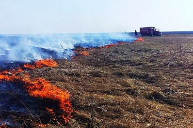 В Самарской области за пять дней произошло 128 пожаров из-за пала сухой травы