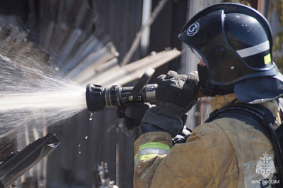 В Самарской области за неделю разгорелся 101 пожар