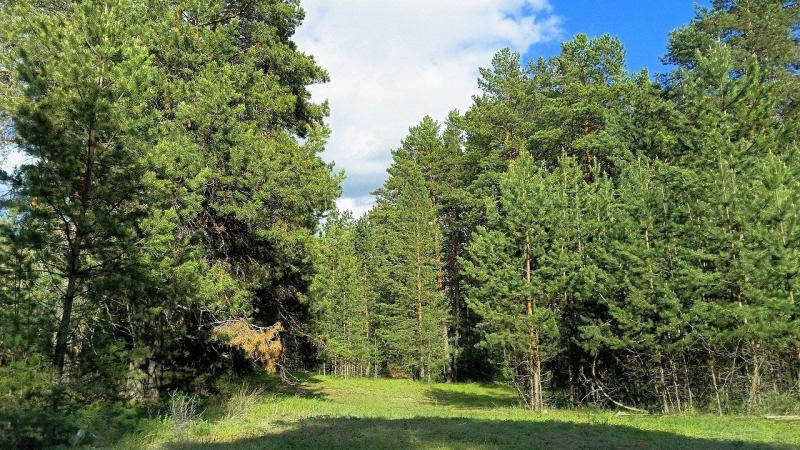 Народные приметы на 8 мая 2025 года: что нельзя делать в этот день