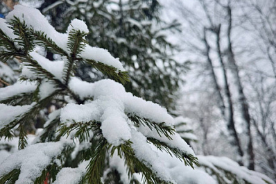 Снег и слабый ветер: погода в Самарской области 26 февраля