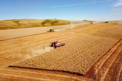 Вячеслав Федорищев обратился к жителям Самарской области по случаю Дня работника сельского хозяйства и перерабатывающей промышленности