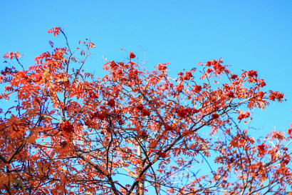 Название статьи