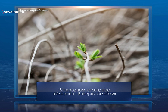 Иларион - выверни оглобли. Календарь Губернии от 10 апреля