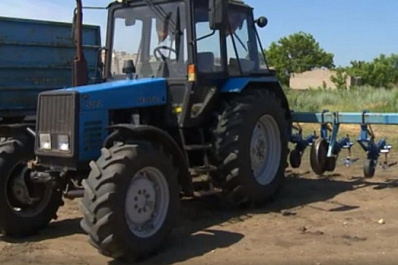 Фермер из Алексеевского района получил грант на развитие животноводства