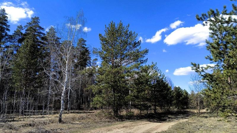 Народные приметы на 1 апреля 2025 года: что нельзя делать в этот день