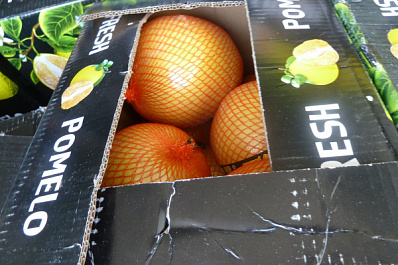 В Самарской области задержали 21 тонну подозрительных помело