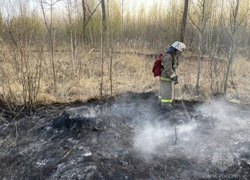 В 6-м квартале Тольятти вспыхнул лес