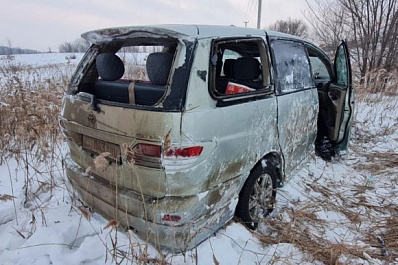 Двое пострадали: на трассе в Самарской области микроавтобус съехал в кювет
