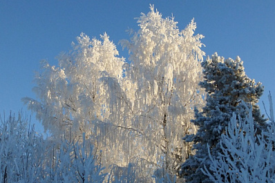 Штормовое предупреждение из-за сильной изморози объявлено в Самарской области 