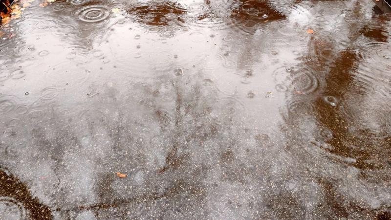 В Самаре всю неделю будут идти продолжительные дожди