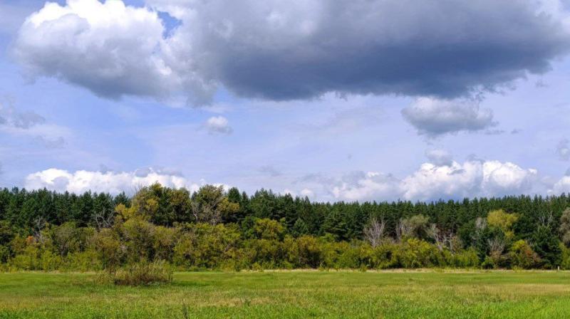 Волонтеров Самарской области обучили поиску пропавших людей