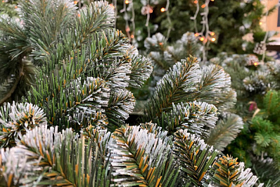 Психолог Зосимов разъяснил, как встретить Новый год в гармонии