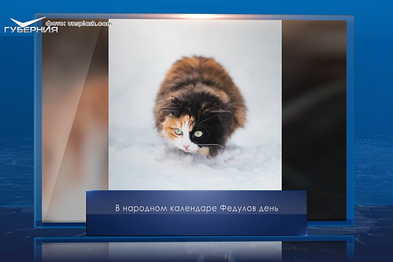 Федулов день. Календарь Губернии от 5 января