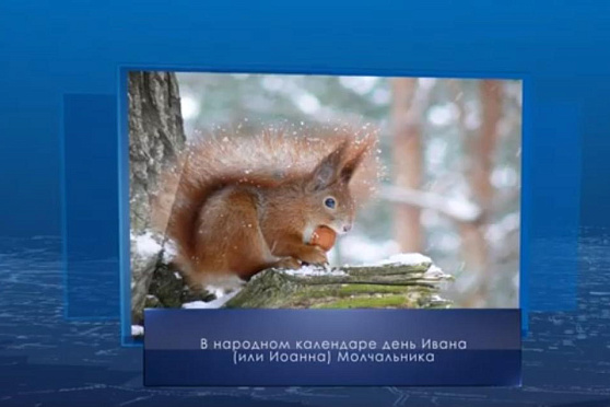 День Ивана Молчальника. Календарь губернии от 16 декабря