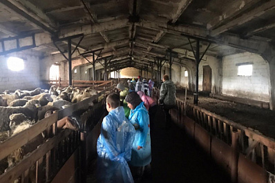 Сельский туризм: как фермы, подворья и сыроварни Самарской области принимают гостей