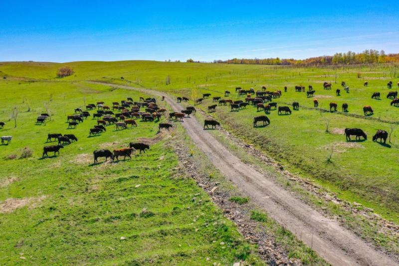 Народные приметы на 16 мая 2025 года: что нельзя делать в этот день