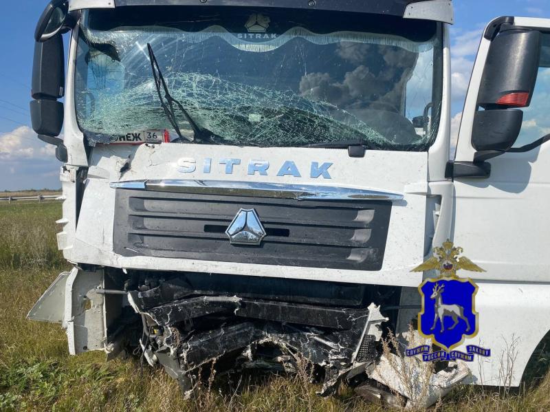 Два человека погибли: в Самарской области на трассе М5 лоб в лоб столкнулись фура и "Газель"