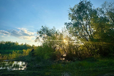 Эксперты рассказали, о чем нужно предупредить детей перед поездкой за город
