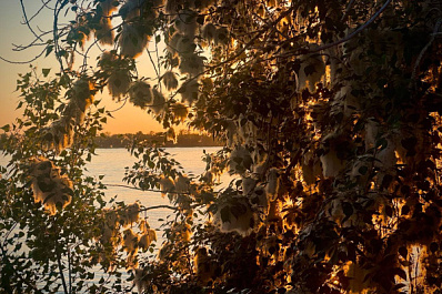 Погода на 13 июля 2025 года: народные приметы и прогноз синоптиков