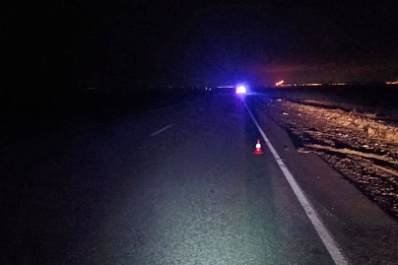 Стоял на дороге: в Сызранском районе 7 декабря КамАЗ насмерть сбил пешехода