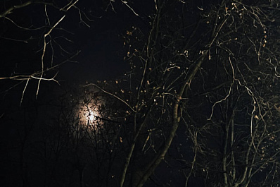 На Солнце произошла новая вспышка