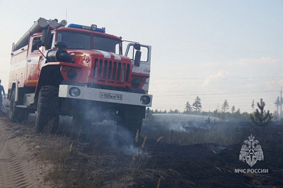 Пожарные ликвидировали открытое горение на территории леса в Самарской области