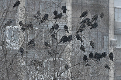 На Самару обрушился мощный снегопад