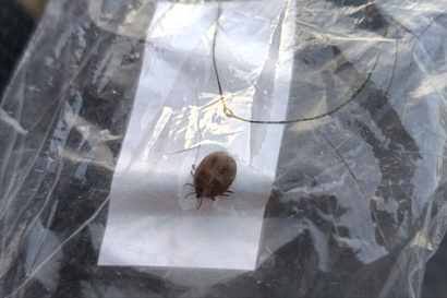 Название статьи