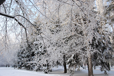В Самаре из-за лыжного марафона временно перекроют дорогу