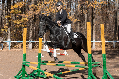 В Самаре 1 мая пройдут соревнования по конкуру, посвященные 76-й годовщине Победы в ВОВ