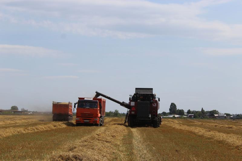 Сельский апгрейд: аграрии Самарской области ставят рекорды