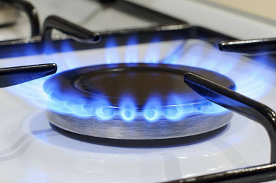 Госдума приняла закон с поправками "Единой России" о бесплатном подключении к газу