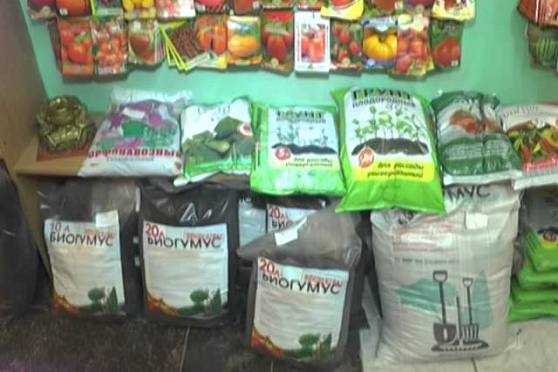 Дачные советы 26.12.2013