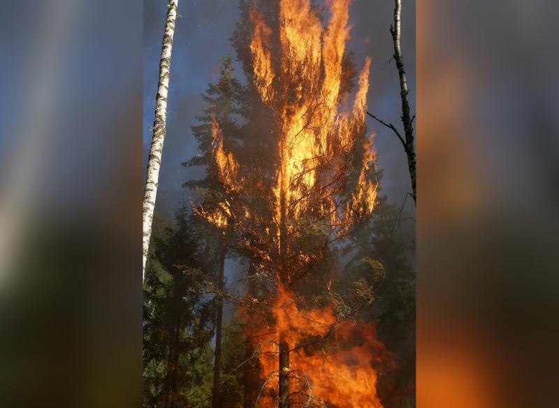 В Самарской области объявили штормовое предупреждение из-за угрозы лесных пожаров