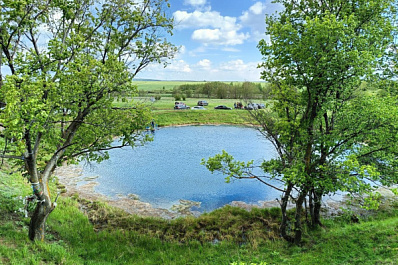 Общественный инспектор по охране окружающей среды Дмитрий Моргунов высказался по итогам прямого эфира с Вячеславом Федорищевым