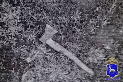 Житель Самарской области угрожал топором своему 17-летнему пасынку