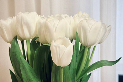 Вячеслав Федорищев обратился к жительницам Самарской области по случаю Международного женского дня