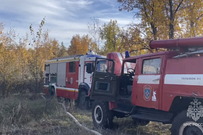 В Тольятти 10 октября вспыхнул лес