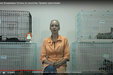 Президент Владимир Путин пообещал помочь тольяттинскому приюту "Кошкин Дом"