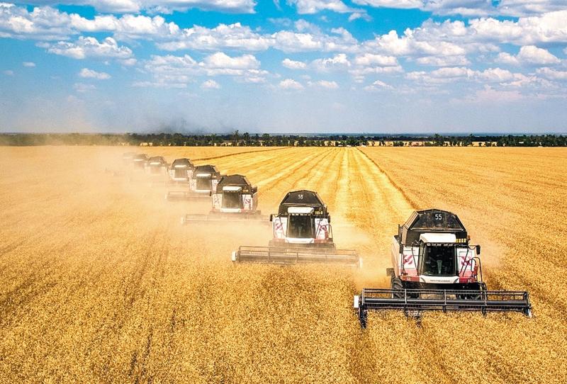 Урожай идей: аграрии осваивают новые рынки