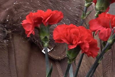 В Самаре отметили годовщину победы в Сталинградской битве