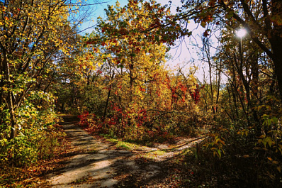В Самарской области ожидается летнее повышение температуры
