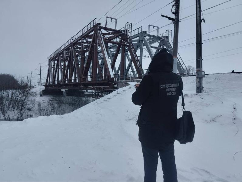 В Самарской области выясняют подробности гибели охранника моста под поездом