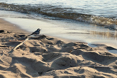 В Самарской области 1 мая будет облачно и дождливо 