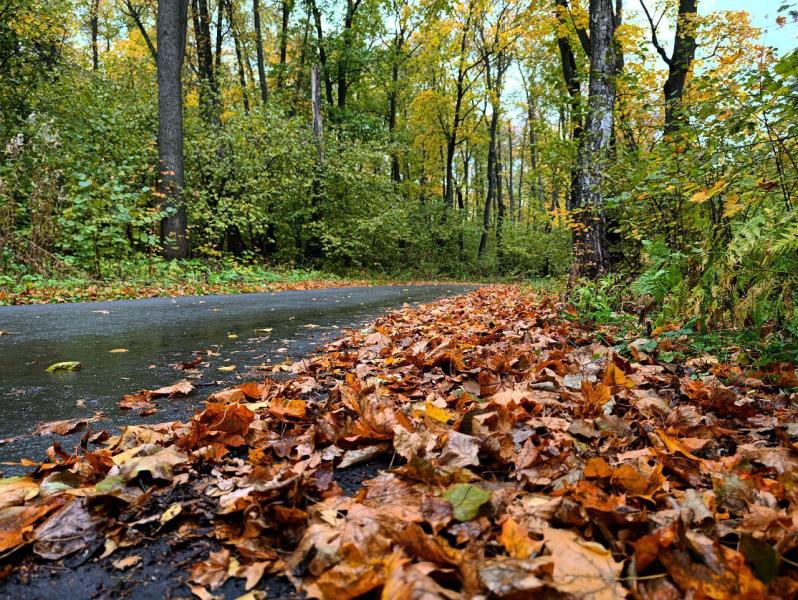 Погода на 20 октября 2025 года: народные приметы и прогноз синоптиков