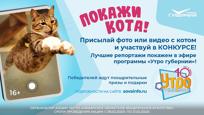 Программа "Утро Губернии" запускает конкурс "Покажи кота"