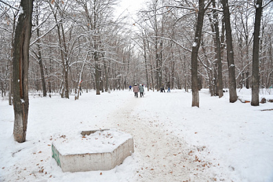 Самарский лесопарк 60-летия Советский власти в Кировском районе планируют реконструировать в 2023 году