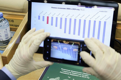 Депутаты Госдумы приняли социальный бюджет в первом чтении 